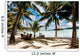 Palms on motu in french polynesia 