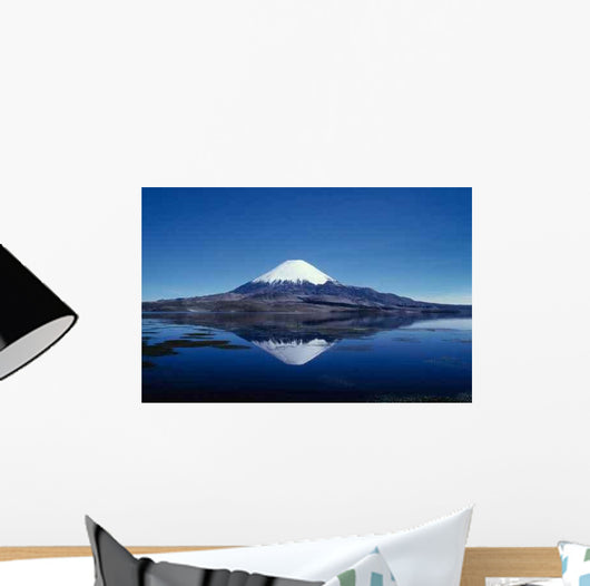Sajama Wall Decal