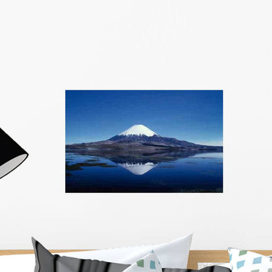 Sajama Wall Decal