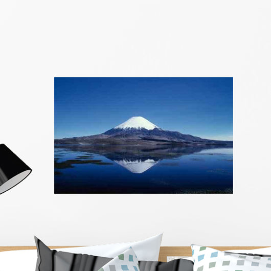 Sajama Wall Decal