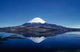 Sajama Wall Decal