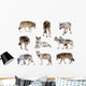 Gray Wolves Wall Stickers