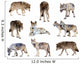 Gray Wolves Wall Stickers