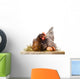 Hen in nest with eggs isolated on white Wall Decal