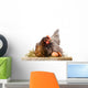 Hen in nest with eggs isolated on white Wall Decal