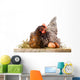 Hen in nest with eggs isolated on white Wall Decal
