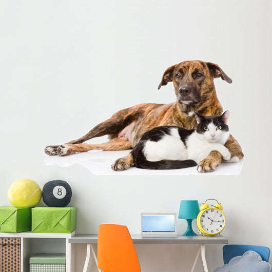 Large dog and cat lying together. isolated on white background 