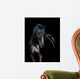 Black horse isolated on black background 