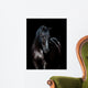 Black horse isolated on black background 