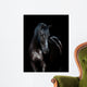 Black horse isolated on black background 
