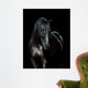 Black horse isolated on black background 