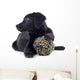 black labrador pup isolated on white Wall Decal