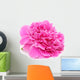 Pink Peony Flower Isolated on White Background Wall Decal