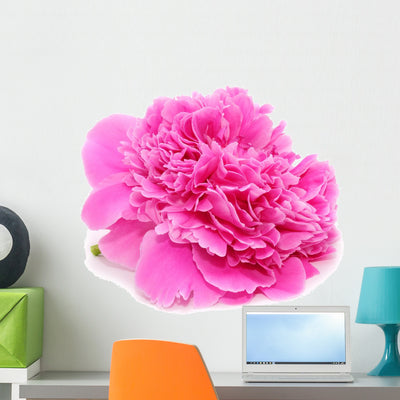 Pink Peony Flower White Wall Decal shown on a wall