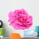 Pink Peony Flower Isolated on White Background Wall Decal
