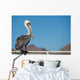 Pelican portrait 