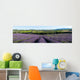 panoramic field of lavender in Provence Wall Mural