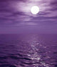 Full Moon over Sea Wall Decal