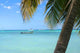 Ocean with Boat Caribbean Wall Decal
