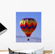 Hot Air Balloon Wall Mural
