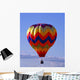 Hot Air Balloon Wall Mural