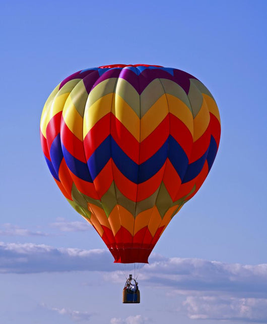 Hot Air Balloon Wall Mural