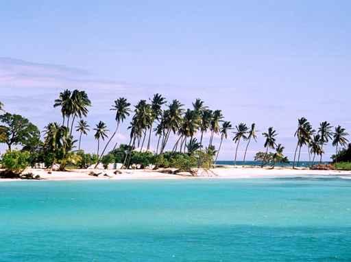 Dominican Beach Wall Decal