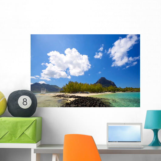 Tropical lagoon on south coast of Mauritius Island Wall Mural