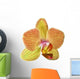 single orange and yellow orchid flower Wall Decal