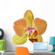single orange and yellow orchid flower Wall Decal