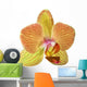 single orange and yellow orchid flower Wall Decal