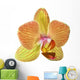 single orange and yellow orchid flower Wall Decal