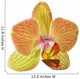 single orange and yellow orchid flower Wall Decal