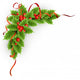 Christmas  holly with berries. 
