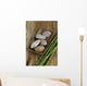 Zen Stones in Wooden Bowl and Green Bamboo Grove on Old Wood Wall Mural