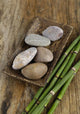 Zen Stones in Wooden Bowl and Green Bamboo Grove on Old Wood Wall Mural