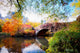 Autumn in Central Park, New York Wall Mural