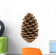 Single Pine Cone 