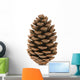Single Pine Cone 