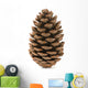 Single Pine Cone 
