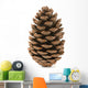Single Pine Cone 