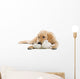 Golden Retriever Puppy With a Stuffed Toy Wall Decal