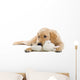 Golden Retriever Puppy With a Stuffed Toy Wall Decal