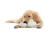 Golden Retriever Puppy With a Stuffed Toy Wall Decal