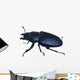 Stag-beetle Wall Decal
