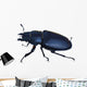 Stag-beetle Wall Decal