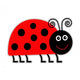Cute Cartoon Lady Bug. Isolated. Wall Decal