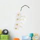White orchid isolated on white background. Wall Decal