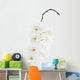 White orchid isolated on white background. Wall Decal