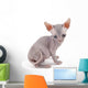Sphynx kitten Wall Decal